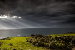 Catlins Morning Light