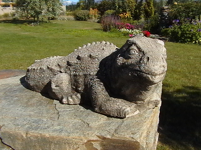 Cement Tuatara